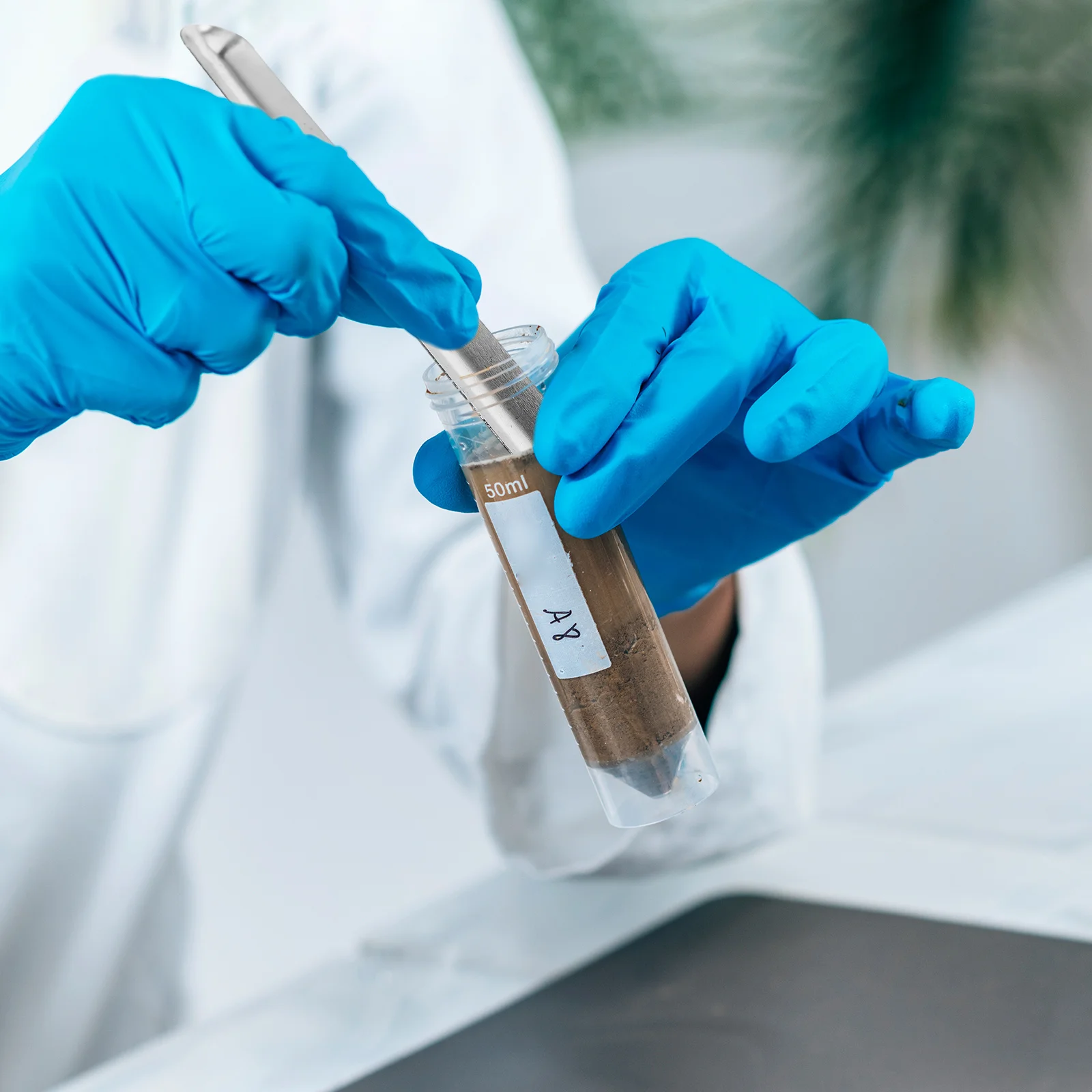 

3pcs Stainless Steel Jewelry Scoop Durable Lab Bead Transfer Tool For Mixing Powders Pastes Classroom Laboratory Powder