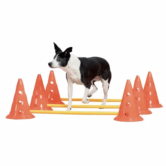 

Pawise Dog Training Agility Poles Jumping Outdoor Games Obstacle Course Starter Kit Ring Tunnel Agility Set