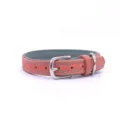 red collar