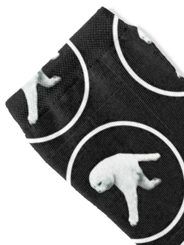 Aphex Twin Cat two-legged cat meme parody Socks sheer cycling Men Socks Luxury Brand Women's