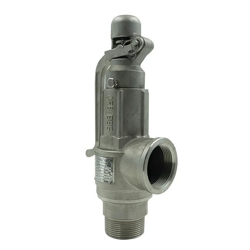 

DKV A27 Stainless Steel Safety Relief Valve with Lever BSP NPT Threaded Stainless Steel Load Safety Valve