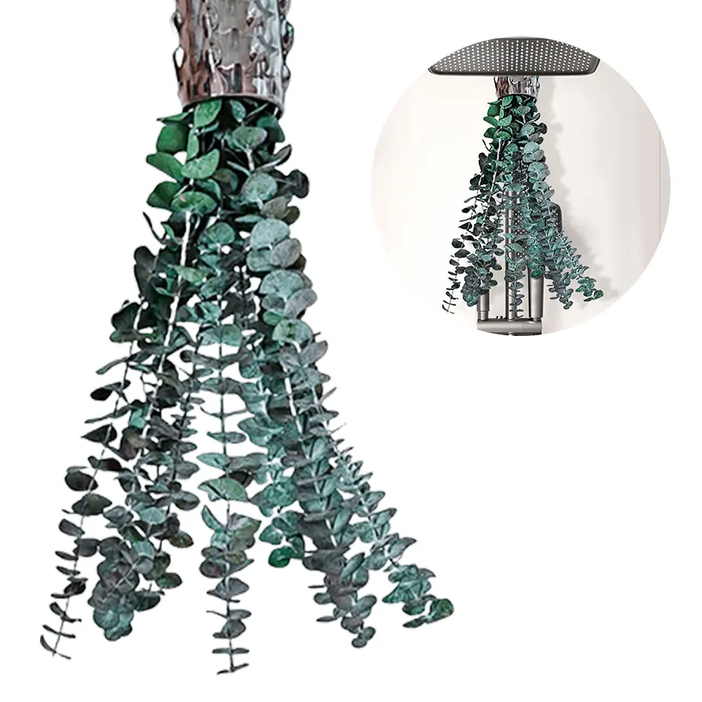 

10 PCS Natural Fresh Eucalyptus Plant Decorative Preserved Fresh Eucalyptus Branches Multipurpose Flowers Arrangement Home Decor