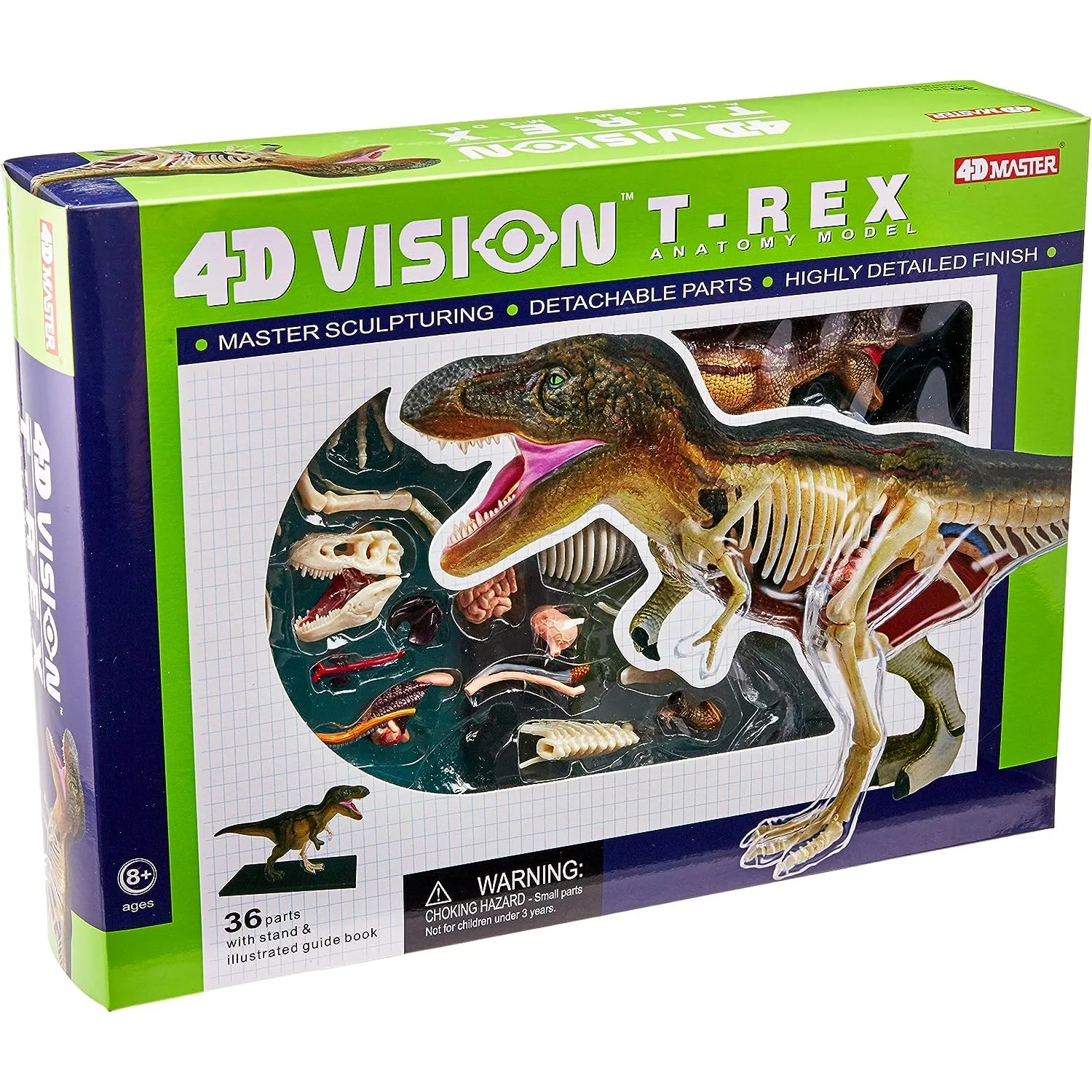 Modelo de anatomía t-rex 4D Vision