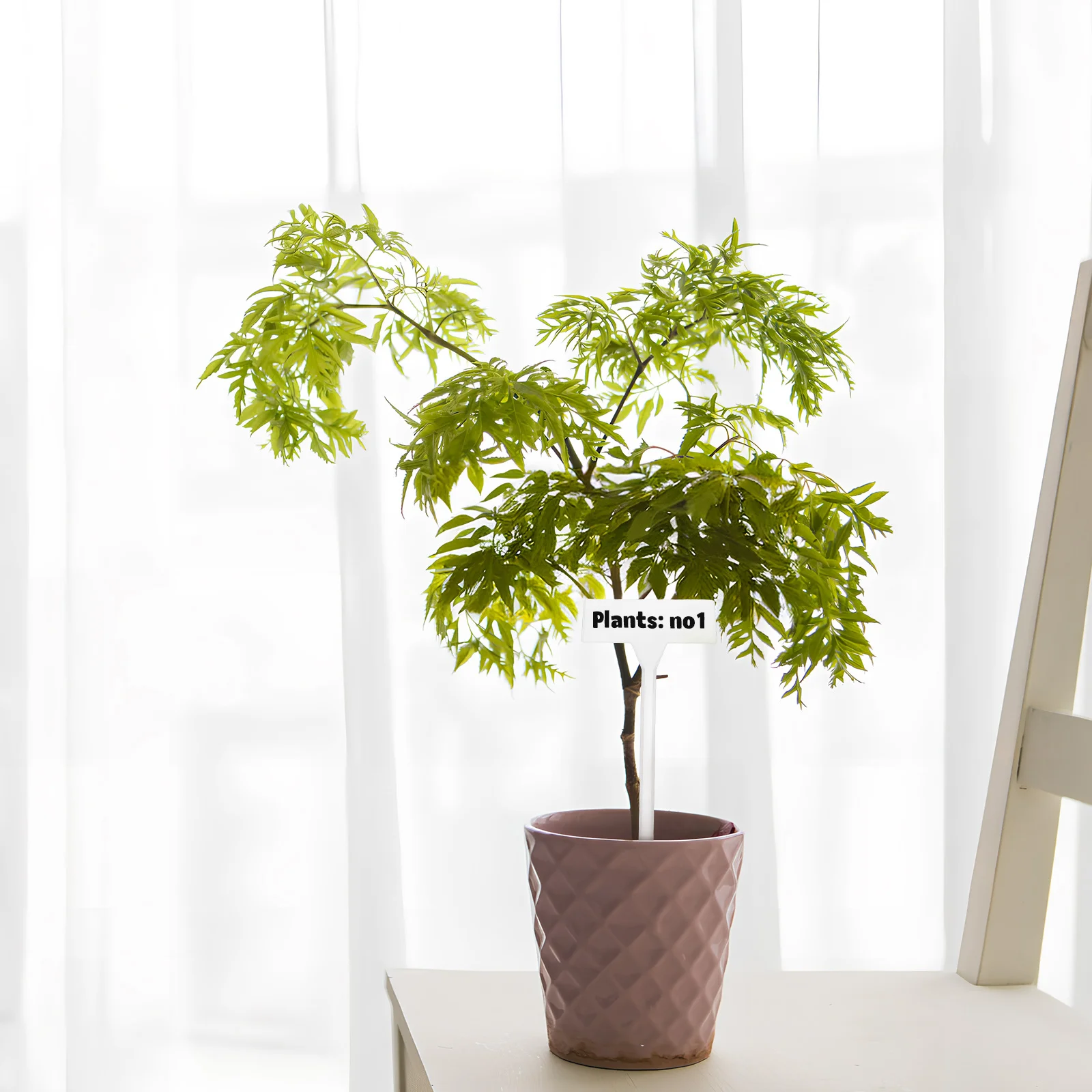 

35pcs Decorative Plant Labels Resilient Plastic Inclined Surface Easy Writing Outdoor Garden Stake Tags For Greenhouse Potted