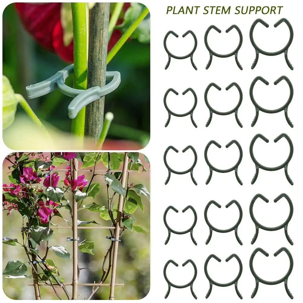 200pcs 16mm 20mm 25mm Plant Stem Support Plastic Greenhouse Clip Set Growth Plant Growth Accessory Vegetable Plants Clamp Garden