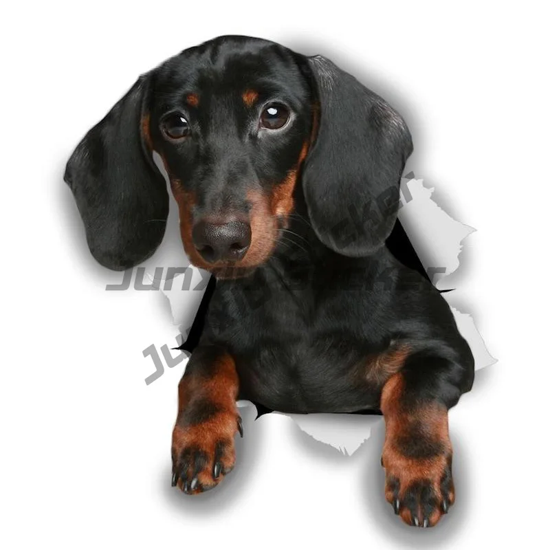 

BLACK DACHSHUND Dog Self-adhesive Decal Car Sticker Waterproof Auto Decors on Bumper Rear Window Laptop