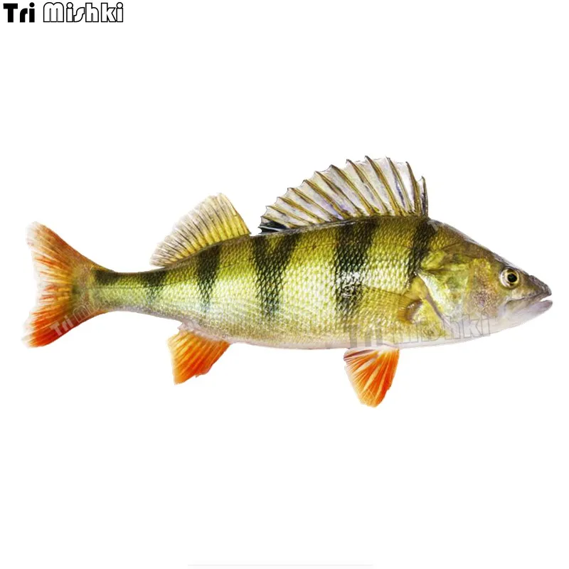 Tri mishki W1115 3D Fish River Perch Car Sticker PVC Decals Motorcycle Accessories sticker on Car Truck Bumper Laptop Fridge