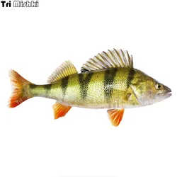 Tri mishki W1115 3D Fish River Perch Car Sticker PVC Decals Motorcycle Accessories sticker on Car Truck Bumper Laptop Fridge