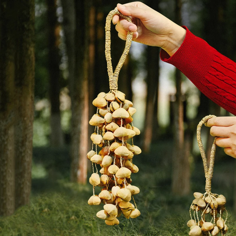 Straw Rope Hand Bell Meditation Yoga Bell Sound Healing Natural Fruit Shells Wind Chimes Outdoor Diapason Meditation Accessories