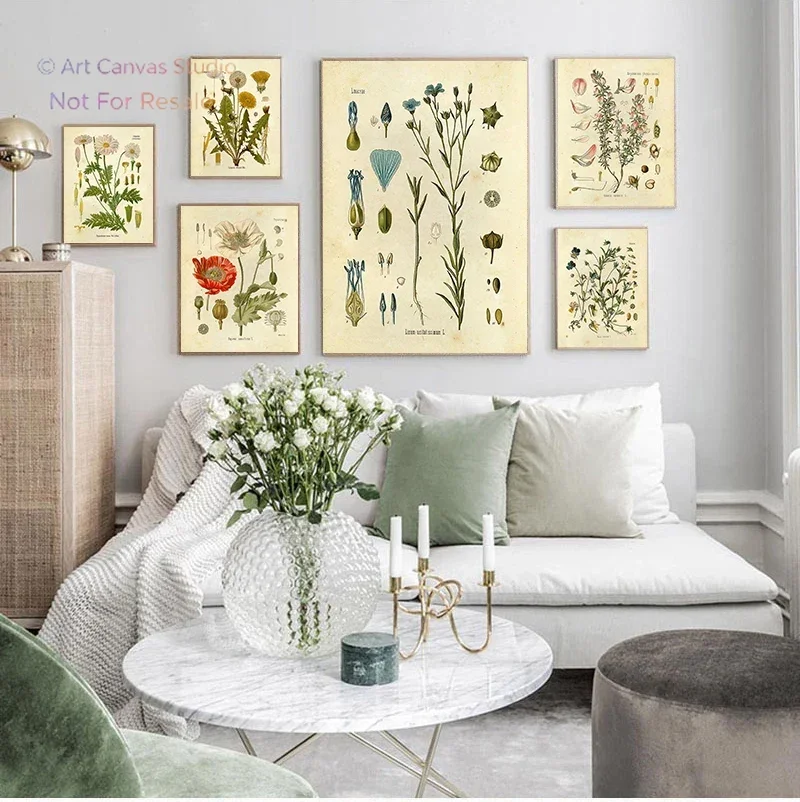 Vintage Wild Plant Poster Botanical Flower Study Living Room Hanging Painting Peony Picture Aesthetic Room Decor Canvas Paint