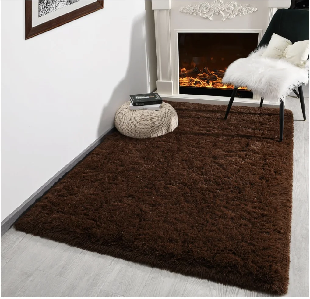 Brown Area Rug for Bedroom Living Room Carpet Home Decor, Upgraded 6x9 Cute Fluffy Rug for Apartment Dorm Room Essentials