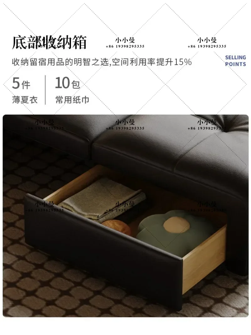 Electric small apartment multi-functional living room 2025 new Internet celebrity dual-purpose foldable double retractable bed