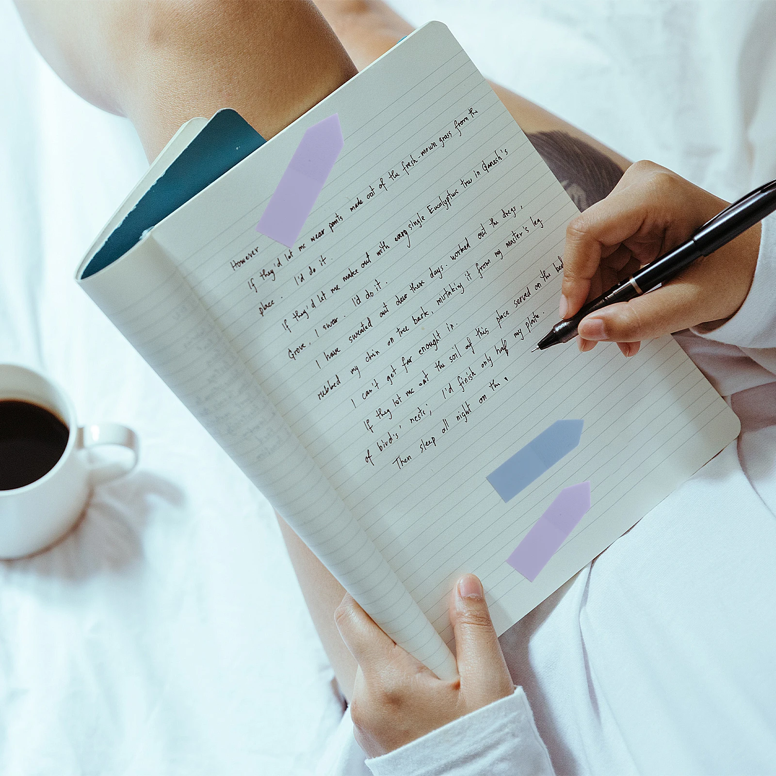 6 set di etichette adesive per pagine Segnapagina colorati Strisce trasparenti per evidenziare per libri Note Forniture per ufficio Frase portatile