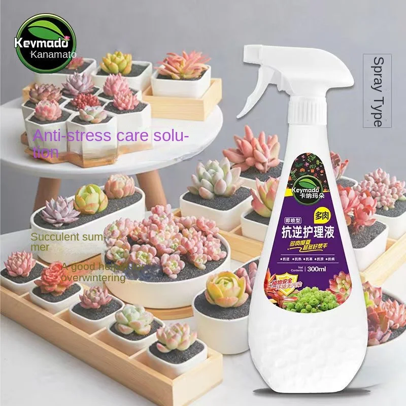 

Succulent Anti-stress Care Solution Succulent Special Anti-heat and Cold Rooting and Budding Nutrition Solution 300ML