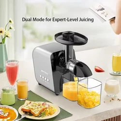 250W Slow Cold Press Fruit Juice Extractor, Anti-jam Reverse, Easy Clean, Natural vitamins Quiet Household Vegetables Juicer