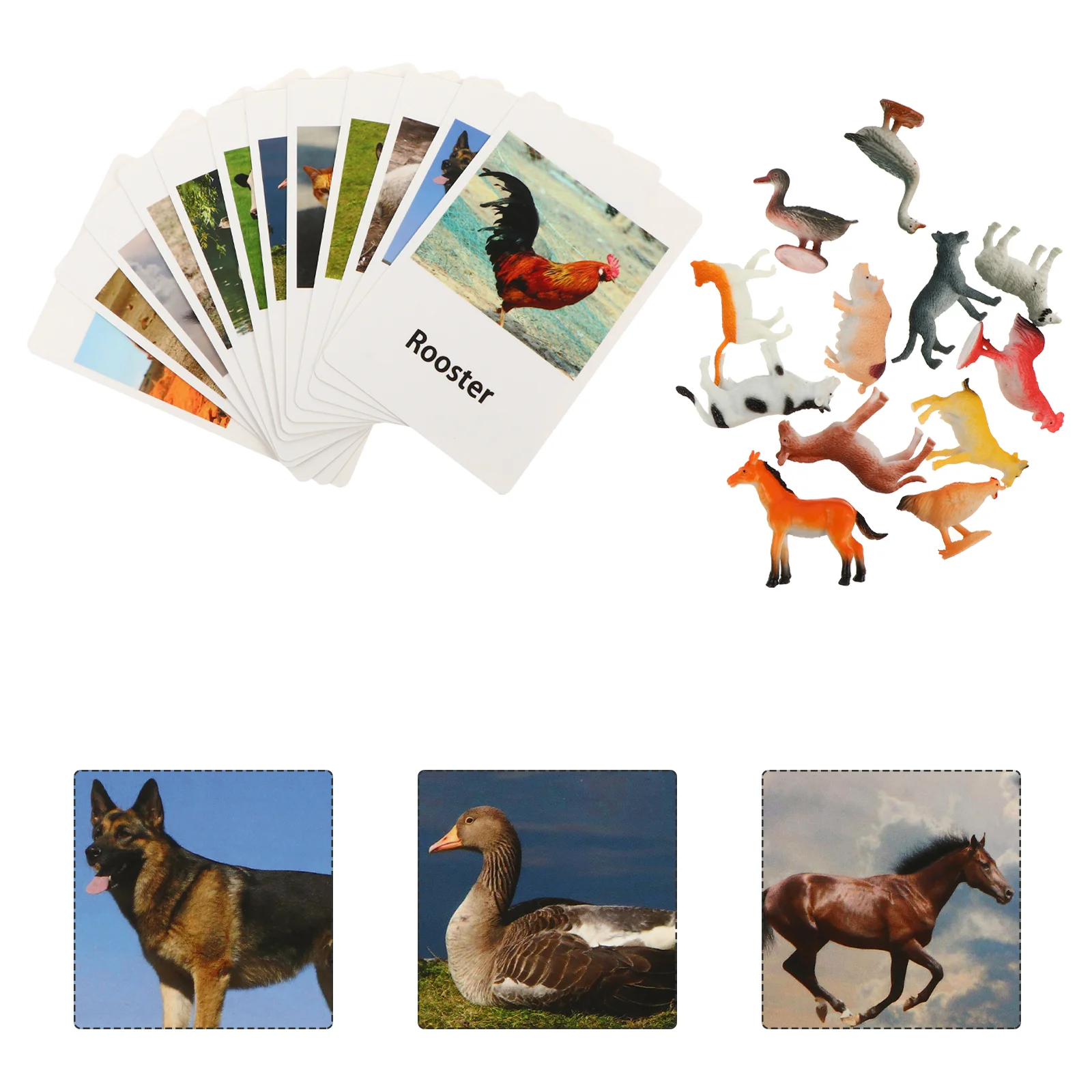 

Animal Toys for Boys Child Education Animals Cards Match Cognitive Silica Gel Matching Funny Interesting Kid