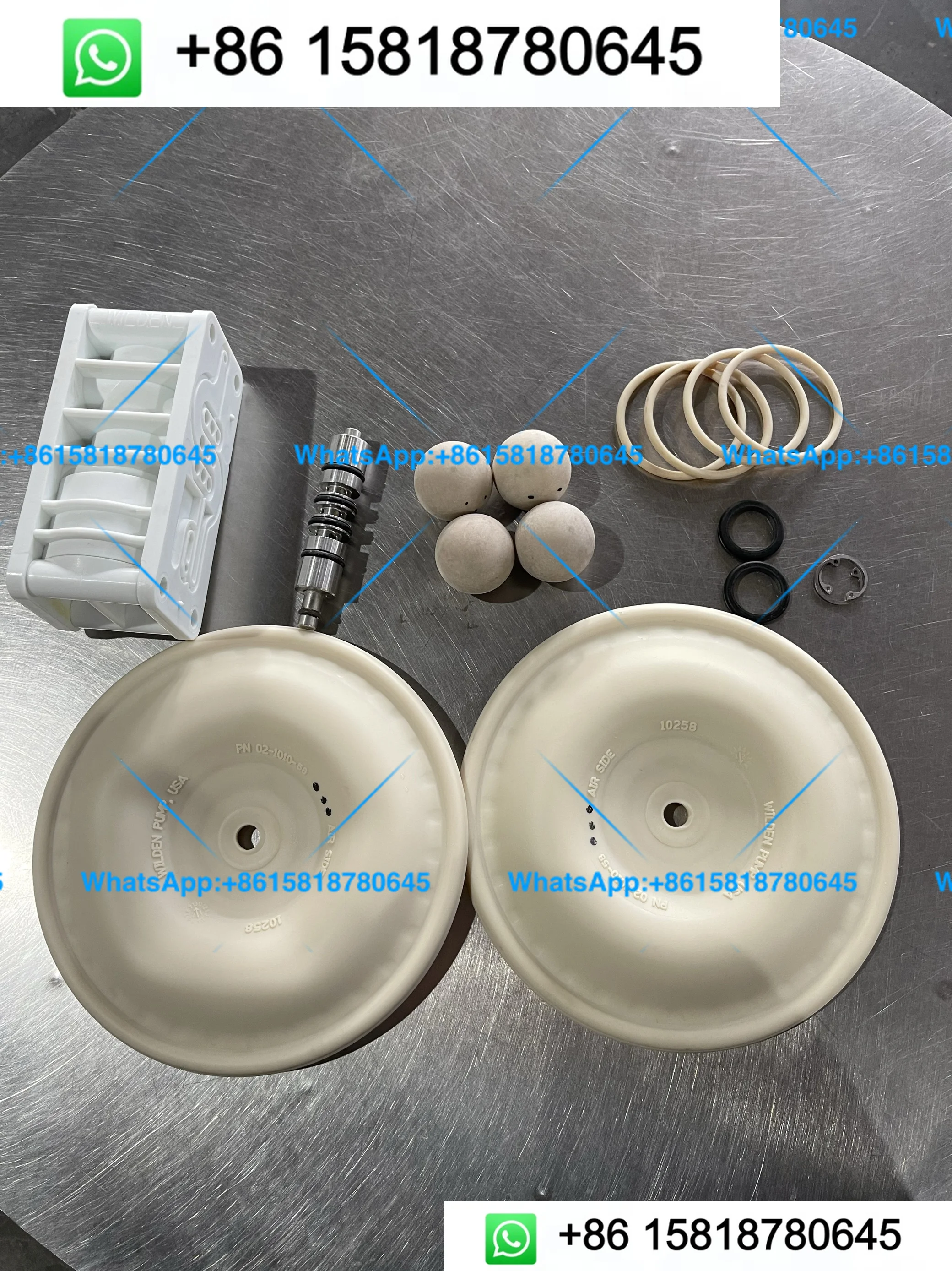 WILDEN 02 Pump Repair Kit Accessories Guide Valve Diaphragm Seat O-Ring