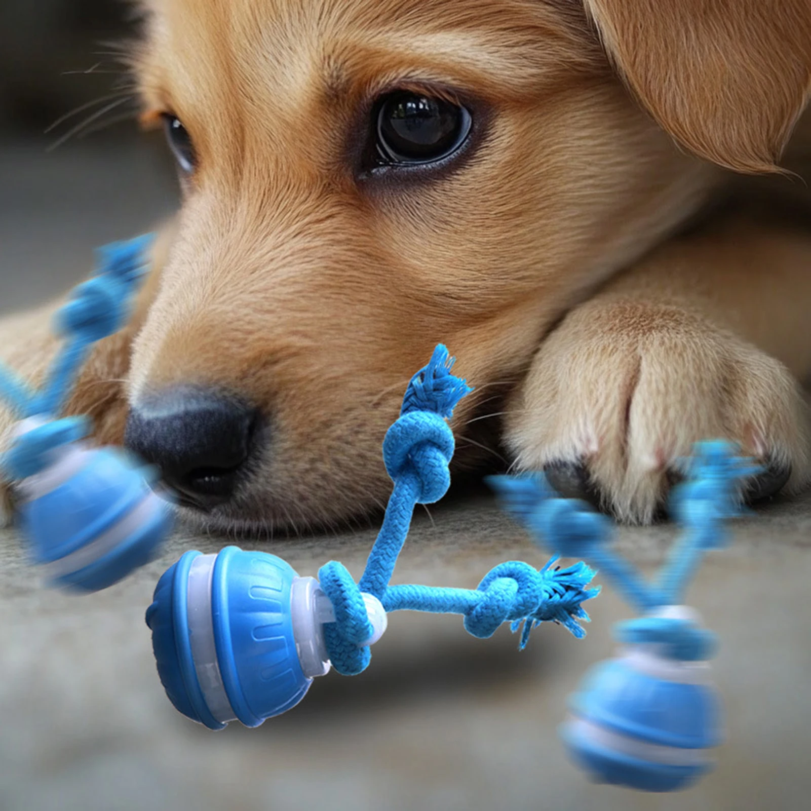 Automatic Moving Ball Interact - огляд і ціна Automatic Moving Dog Ball