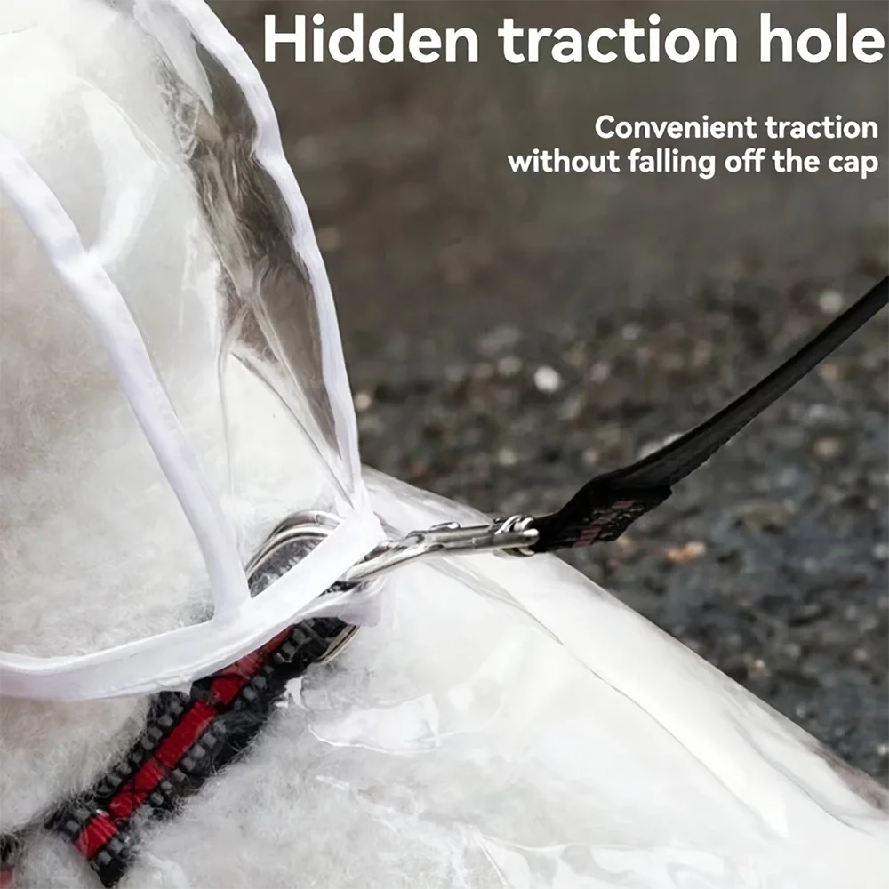 معطف واق من المطر شفاف مقاوم للماء للكلاب الصغيرة والمتوسطة تيدي بيشون فريز يوم ممطر المشي سترة المطر للحيوانات الأليفة