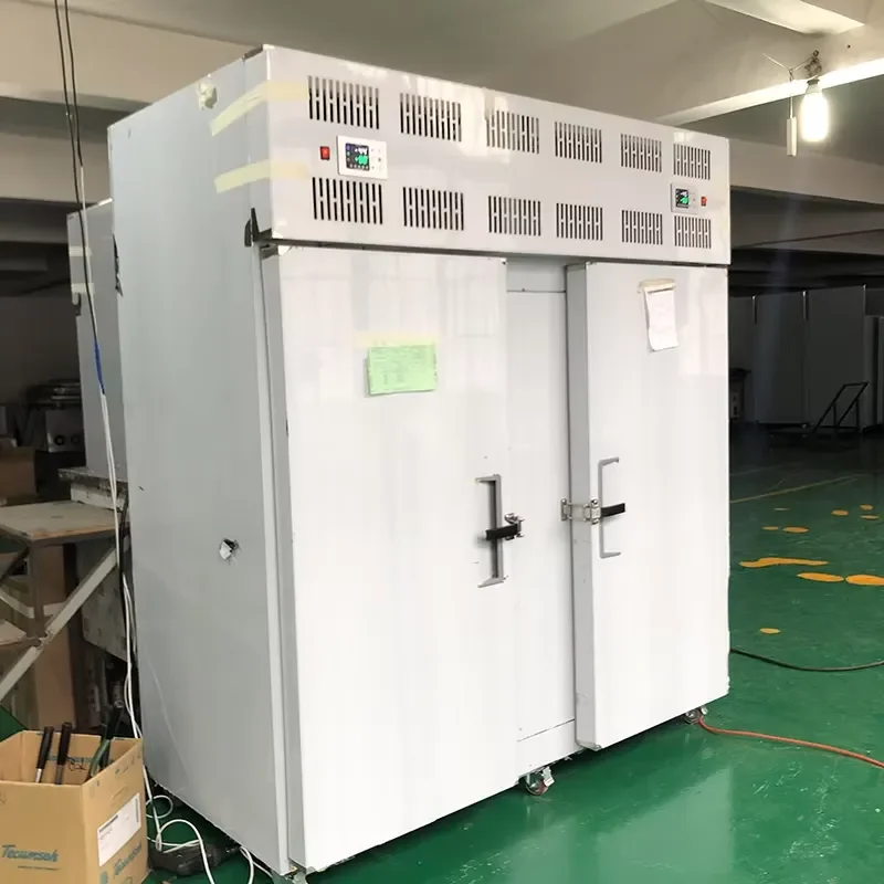 Blast Shock Freezer -40 for Meat Seafood Chicken Stainless Steel Used Condition 5 10 15 22 30 Tray Unit for Restaurants Farms