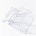 Transparent