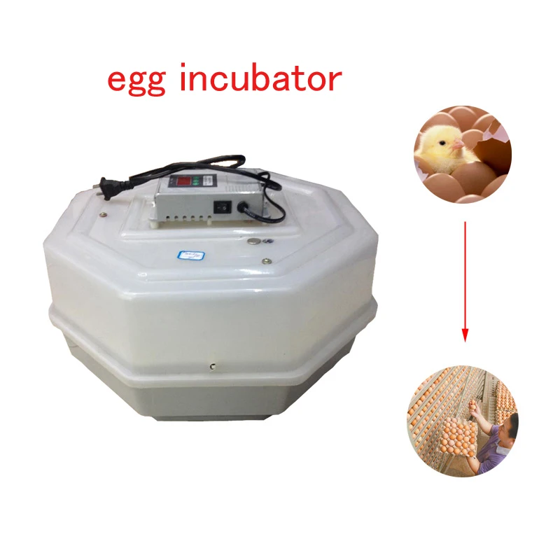 2026 60 Eggs Automatic Egg Incubator Egg Cracking Constant Temperature Incubator Digital Temperature Controller