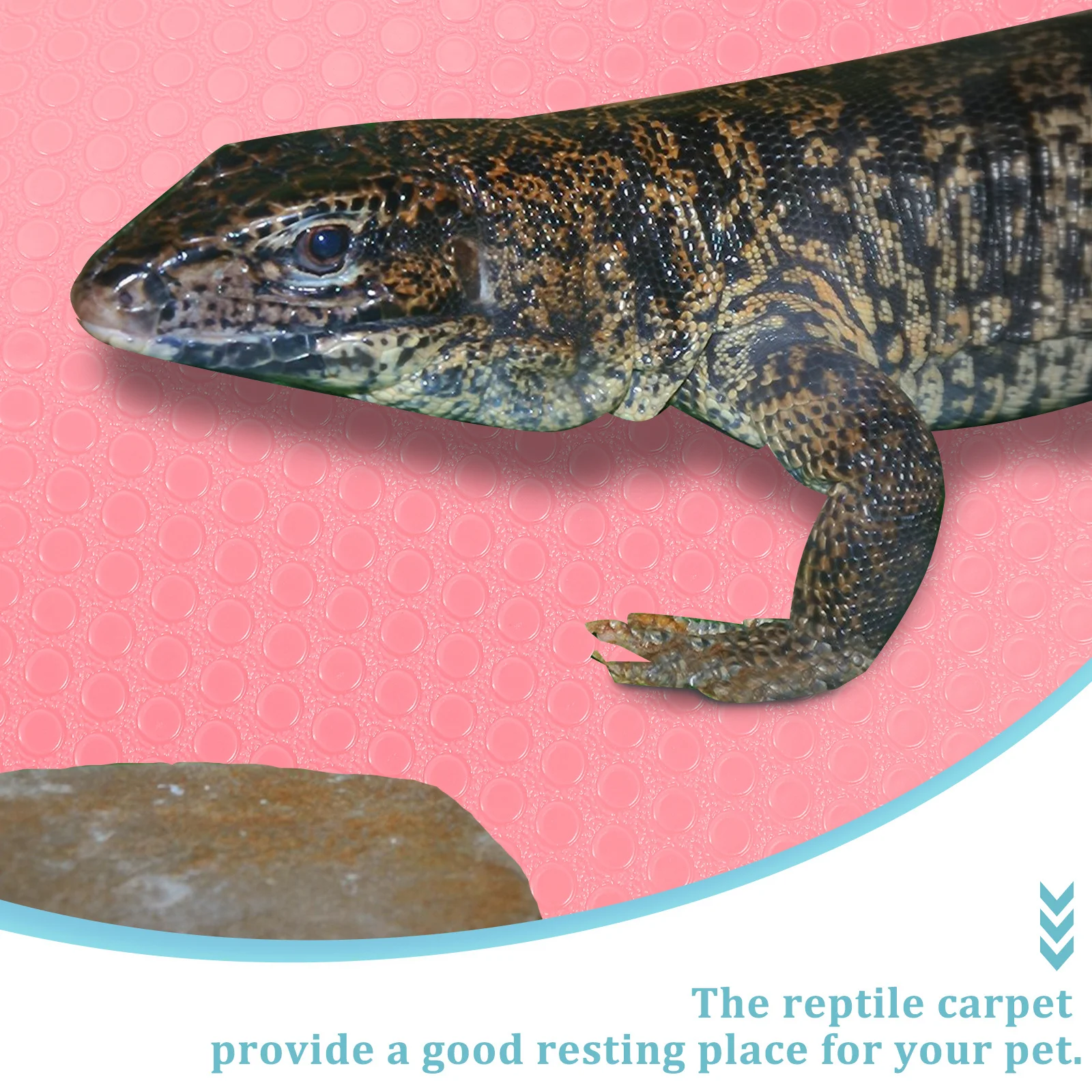 

Reptile Carpet Foldable Lightweight Portable Eva Soft Substrate Mat for Terrarium Snake Bearded Dragon Gecko Tortoise