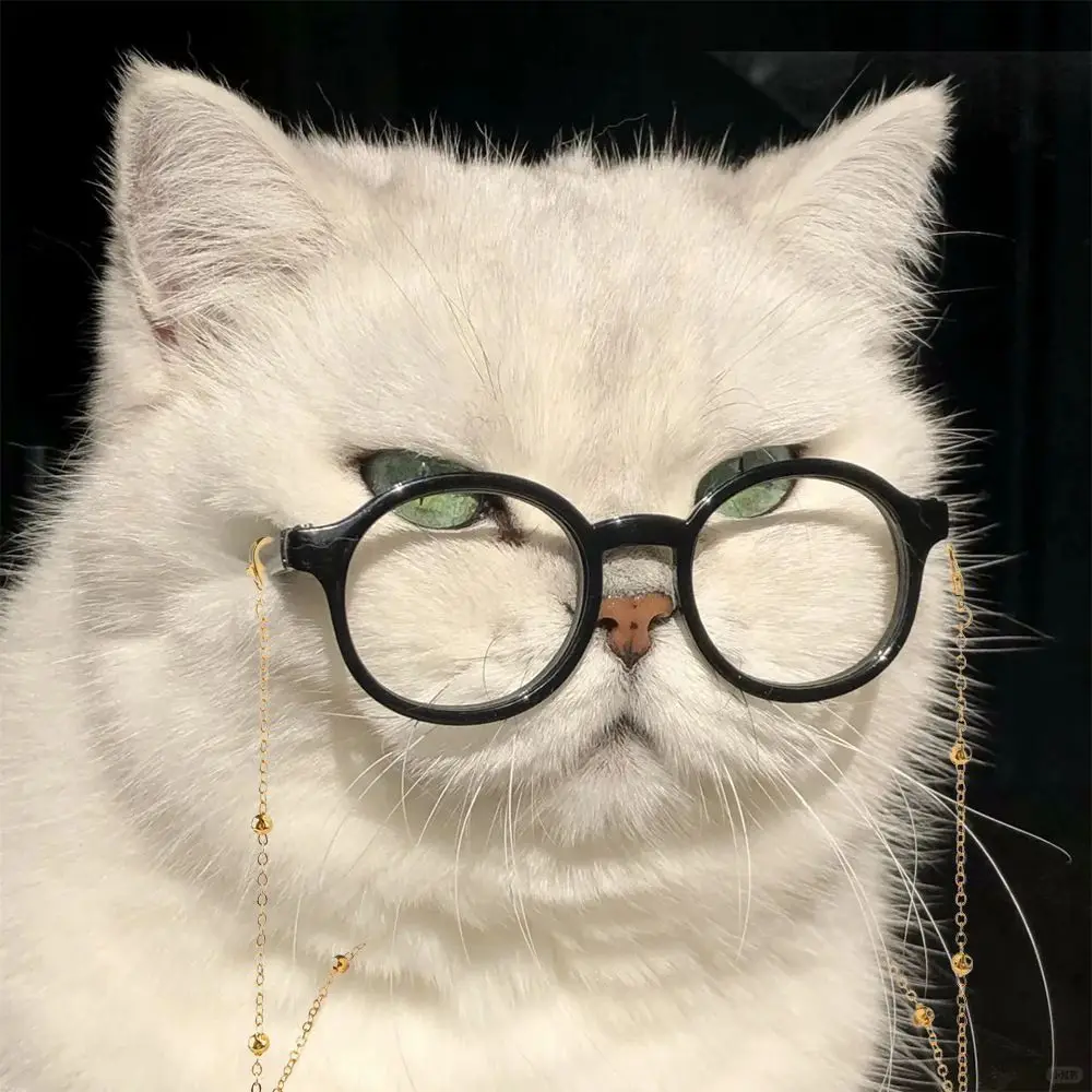 

2 Set Multiuse Cute Pet Sunglasses Fashion Sun Protective Round Reflection Glasses With Chain Pet Eyewears Small Dog