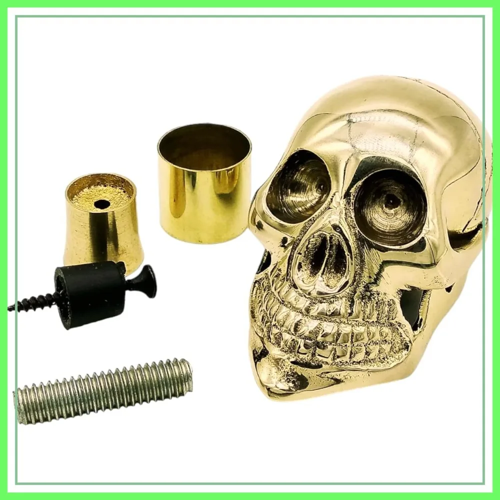 

Skull Head Dragon Brass Tip Screw-on Cane Handle, Replacement Walking Stick Topper with Hardware