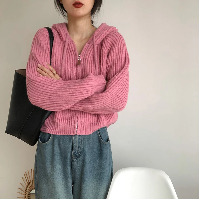 Coreano sle com capuz de malha cardigan feminino primavera outono faion casual zíper ort versátil camisola branca jaet