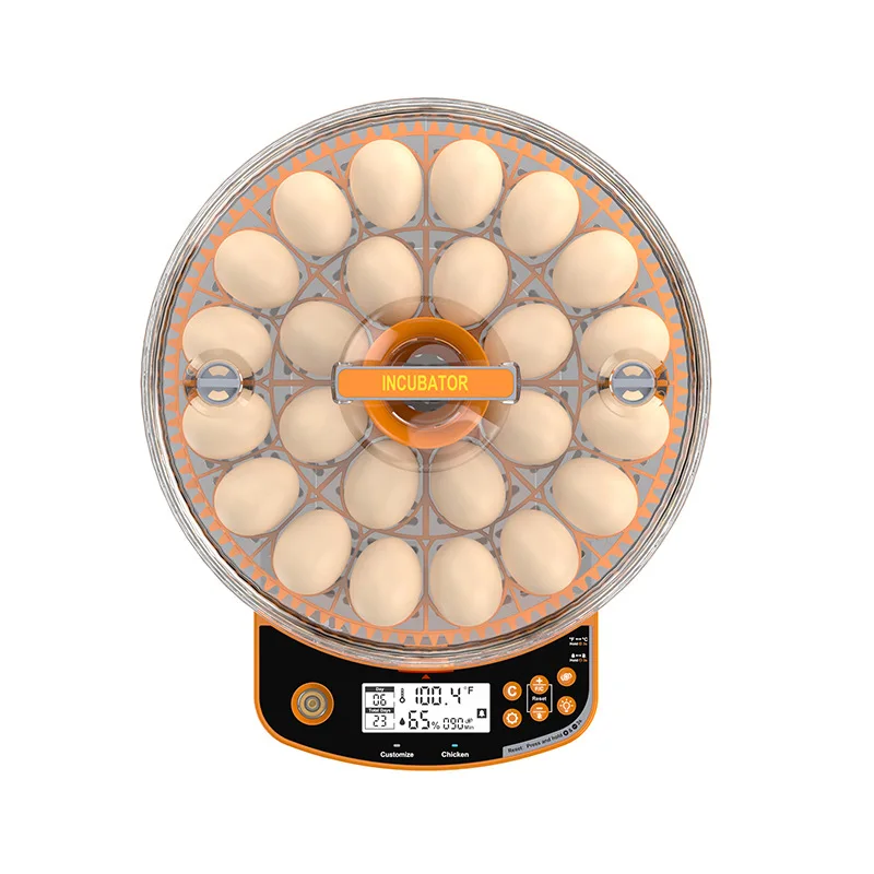 

High Hatching Rate 24-Egg Incubator, Automatic Egg Turning Tray, Smart Poultry Hatcher for Quail & Bantam Eggs