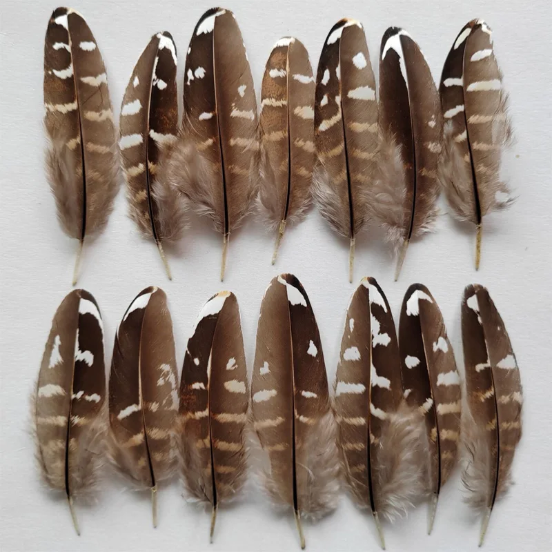 200Pcs/Lot 7-10cm Brown&White Reeves Venery Pheasant Feathers,Natural Crafts Feathers Plume Jewelry Making DIY Party