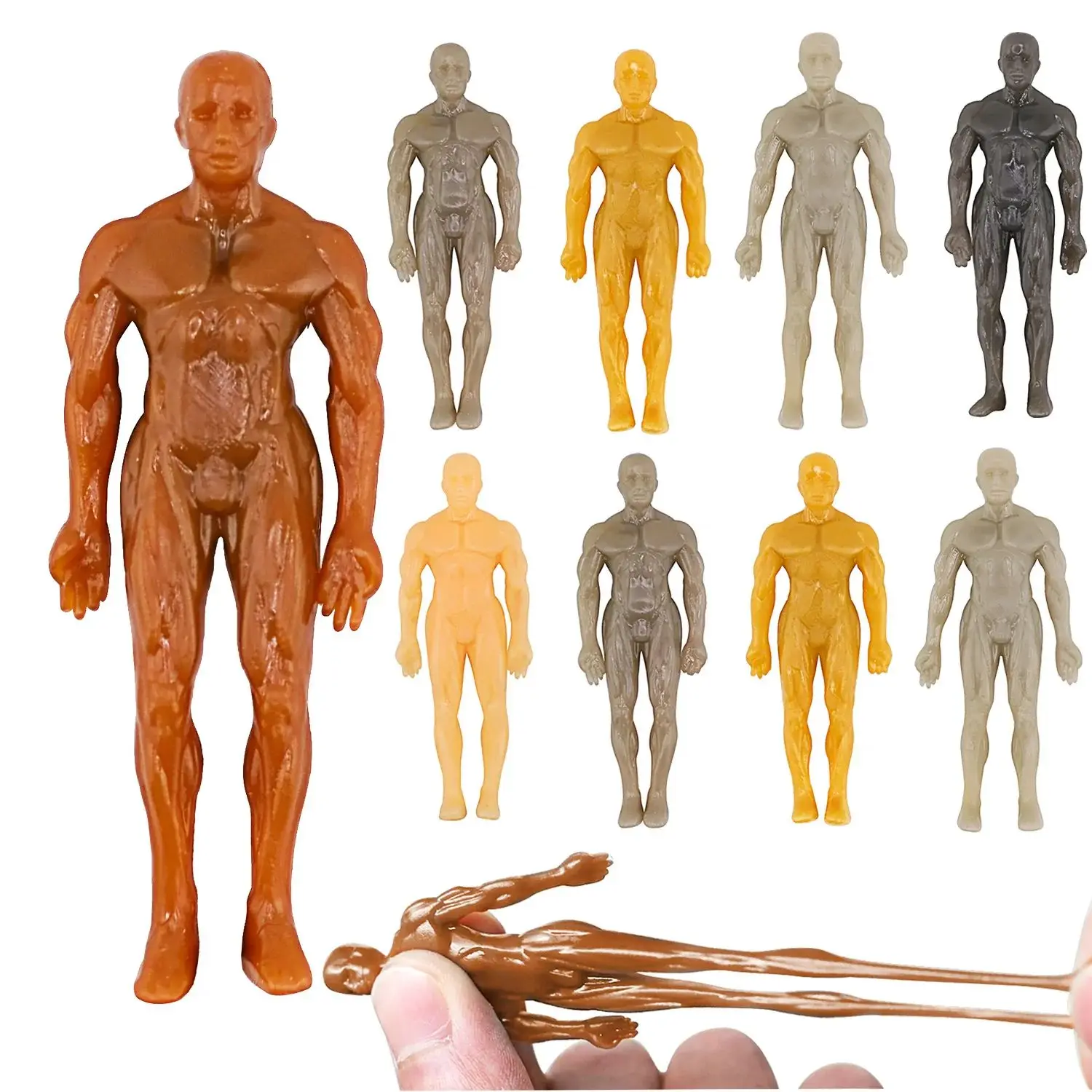 Soft TPR Stretchy Muscle Man Sticky Wall Climbing Figure Fidget Toy Human Body Bodybuilder Simulation Educational Stress Relief