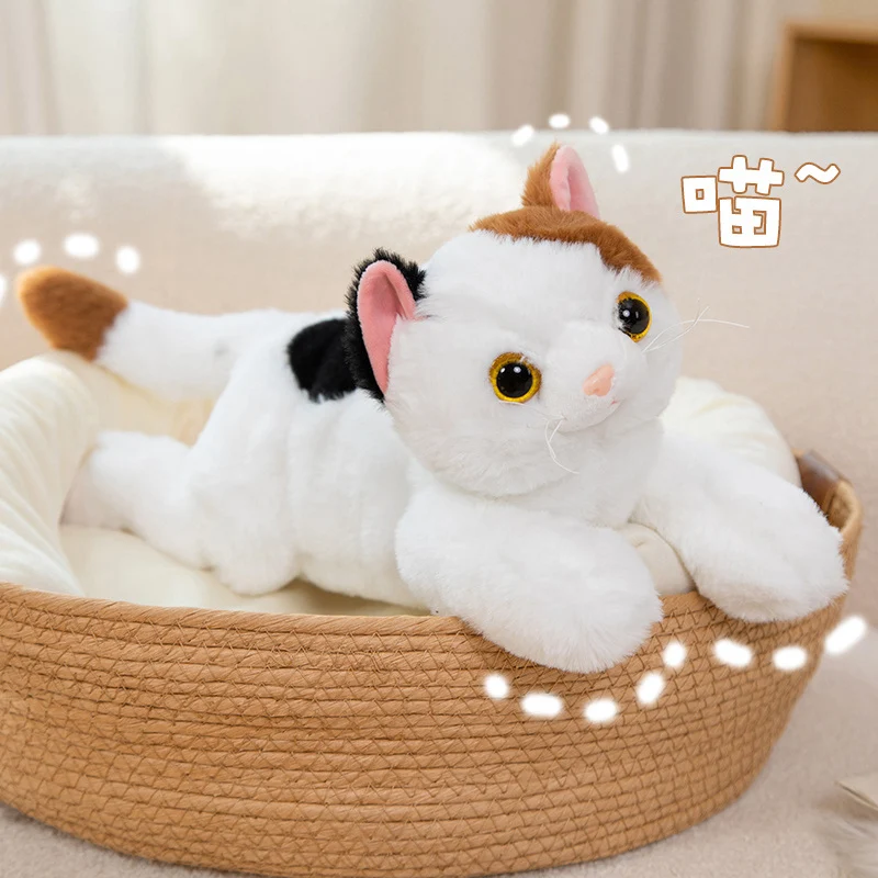 50 cm Kawaii Simulato Gatto Bambola Come Reale Bianco Grigio Marrone Mix Tre Colori Pet Gattino Peluche Peluche Decorazioni per la casa Presente