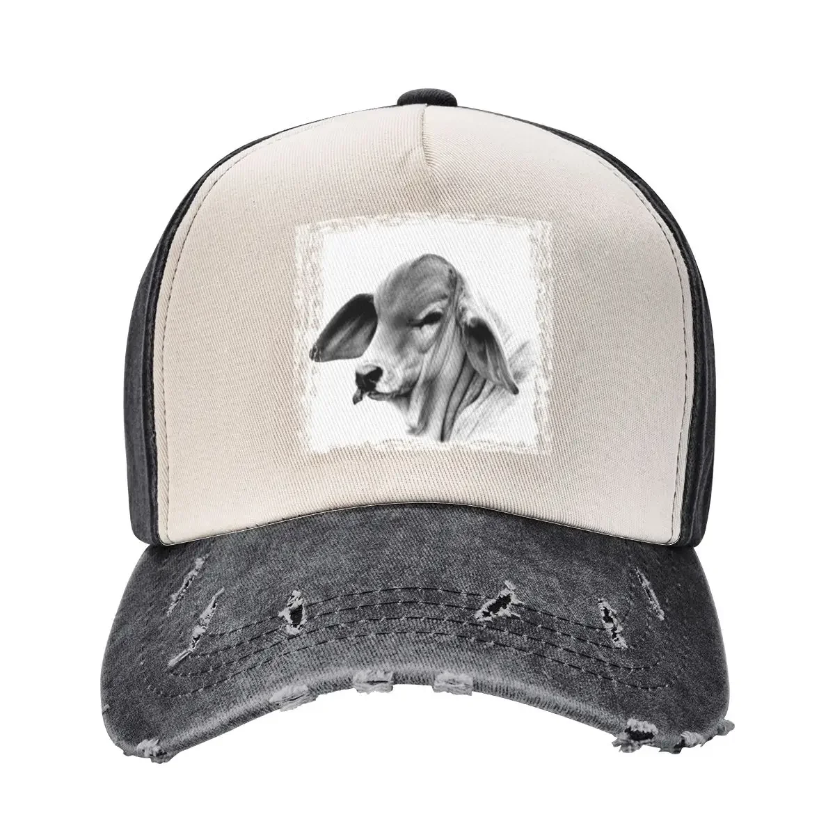 BRAHMAN CALF, PORTRAIT, WALL ART Baseball Cap cute Cap Man Women's