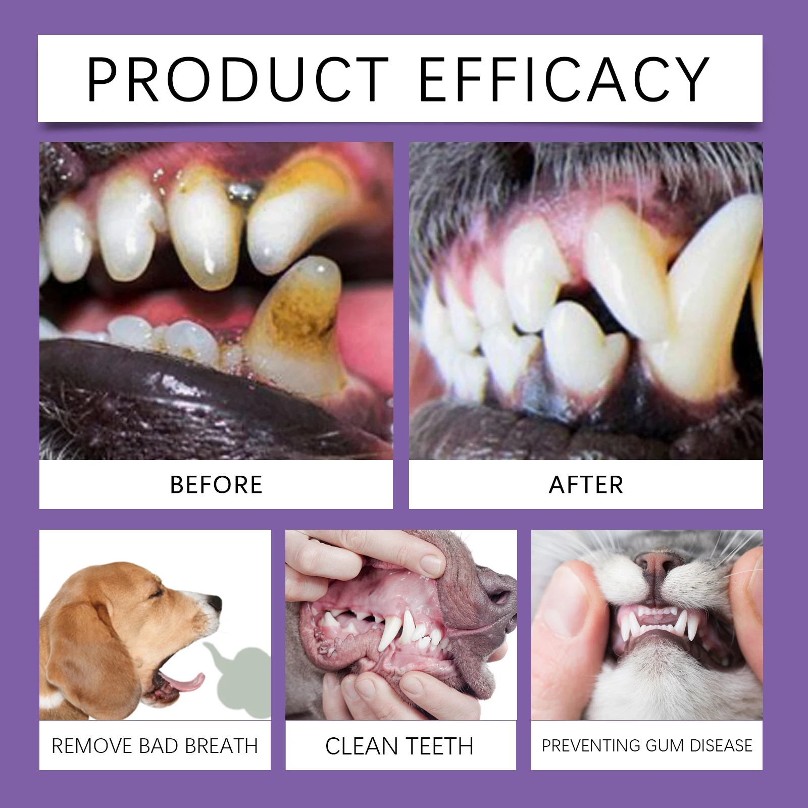 Pet Probiotic Toothpaste for Dogs and Cats with Coconut Lactobacillu Remove Tartar Freshen Breath Natural Dental Care Paste 100g