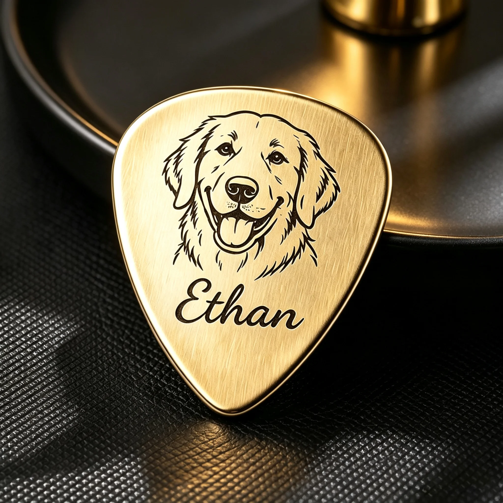 Custom Pet Photo Name Stainless Steel Guitar Pick Engraved Dog Cat Image Owner Name Musician Pet Owner Gift Luxury Personalized