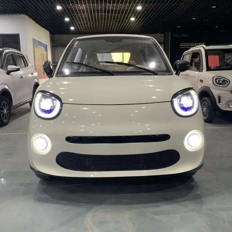 Eco Friendly Electric Vehicle Long Range New Energy Car Hot Selling EV for Family Use