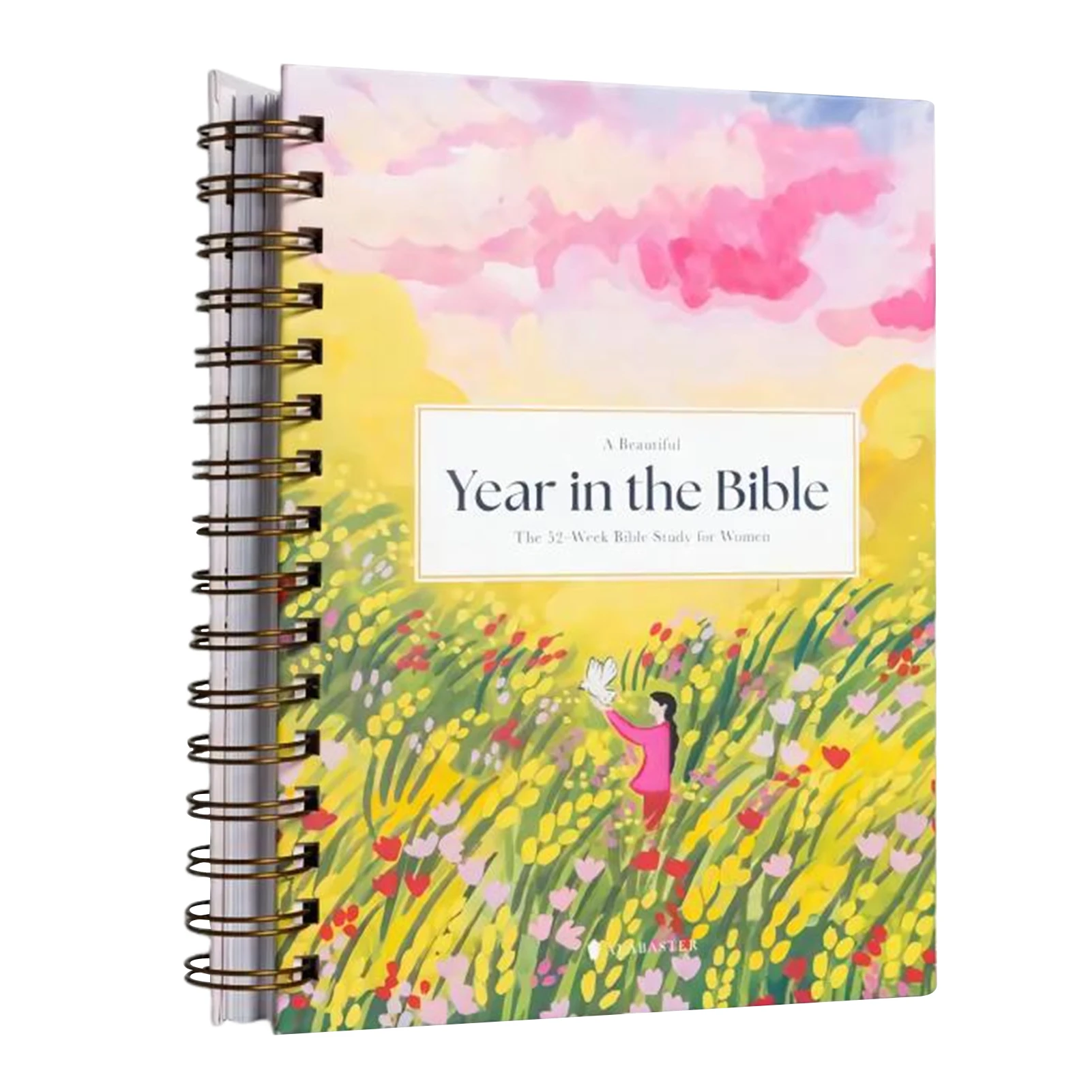 The 52-Week Bible Study For Women Year In The Bible Women Bible Study Guide Unique Exploring Stories From The Bible Books