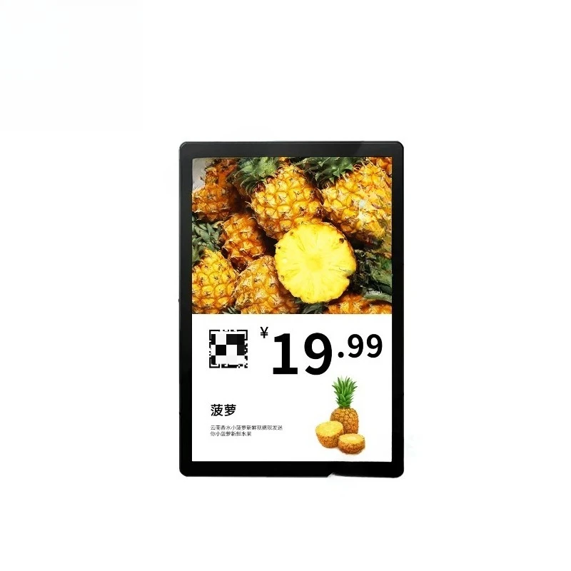 10,1 inch digitaal prijskaartje elektronisch schaplabel voor winkels met elektronisch automatisch kleurenscherm