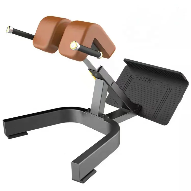 great warranty strength training machine back extension machine gym fitness equipment