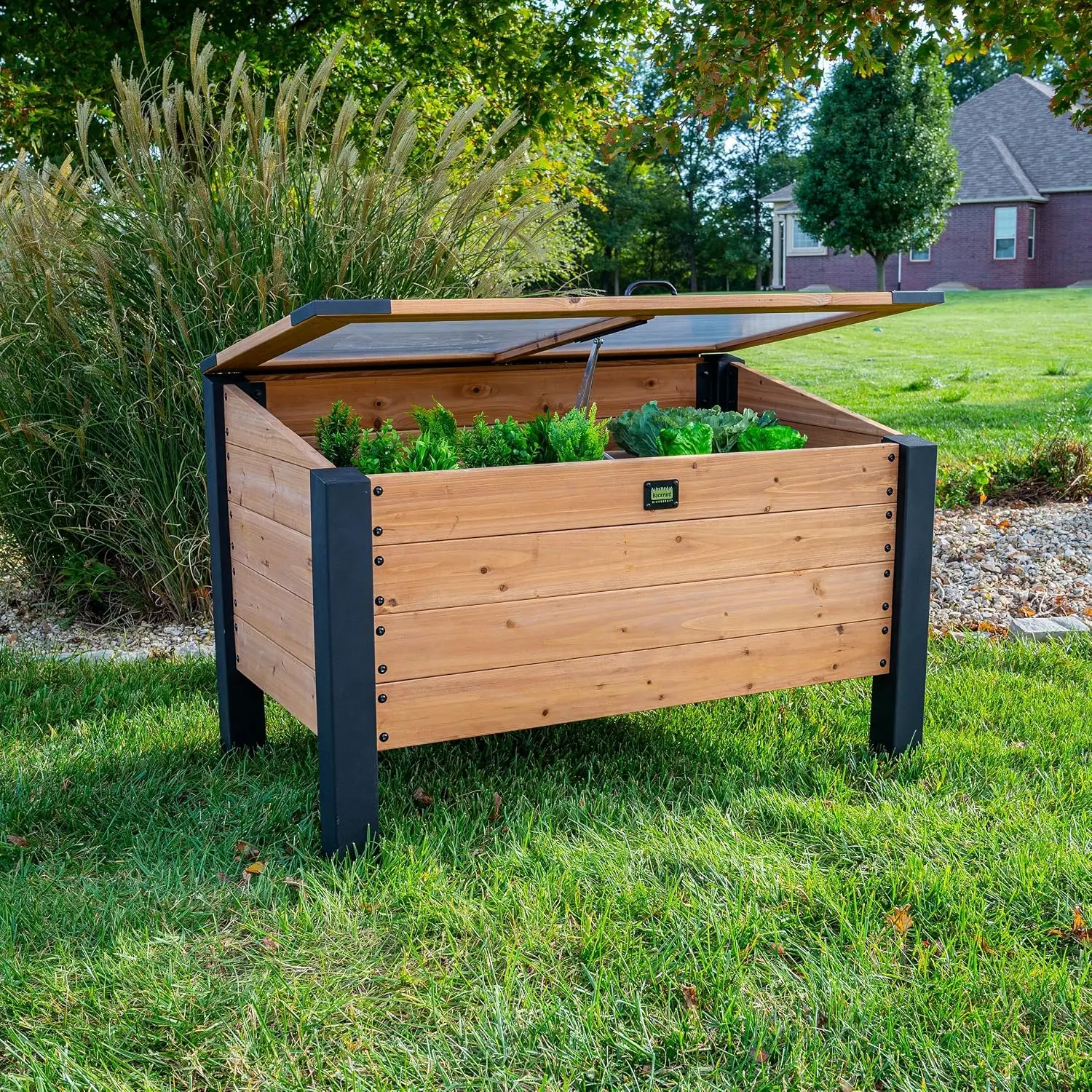 Aggie 4' x 2' Cedar Wood Cold Frame Portable Mini Greenhouse, Raised Garden Planter with Temperature-Activated Polycarbonate Lid