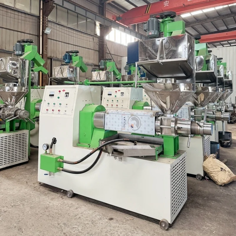 

Hot Selling Sesame Oil Cold Press Machine Rice Bran Oil Press Machine Macadamia Nut Oil Press