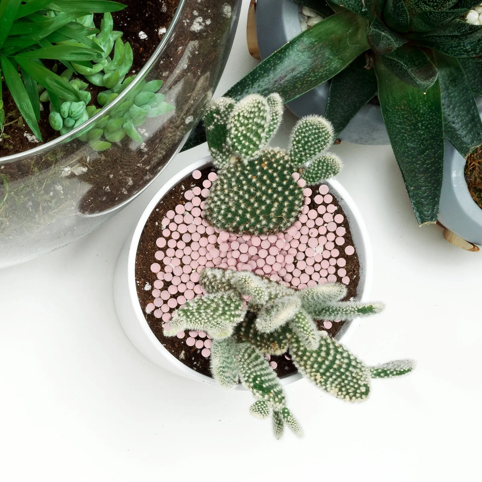 

Декоративные розовые керамические камни с круглой тонкой текстурой для суккулентов, бонсай, садовых растений, ландшафтного дизайна и кашпо