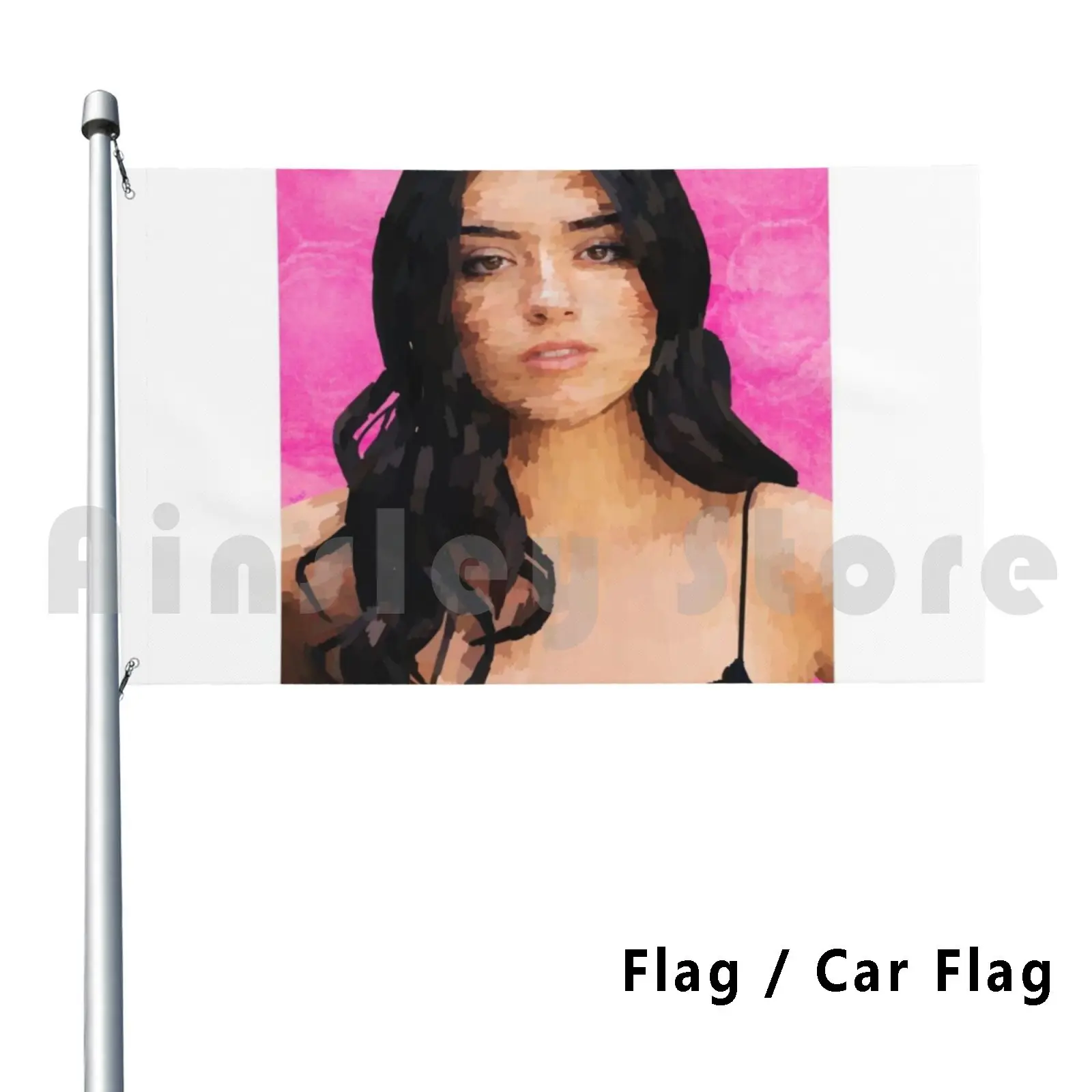 Dixie D Drawing Fla…