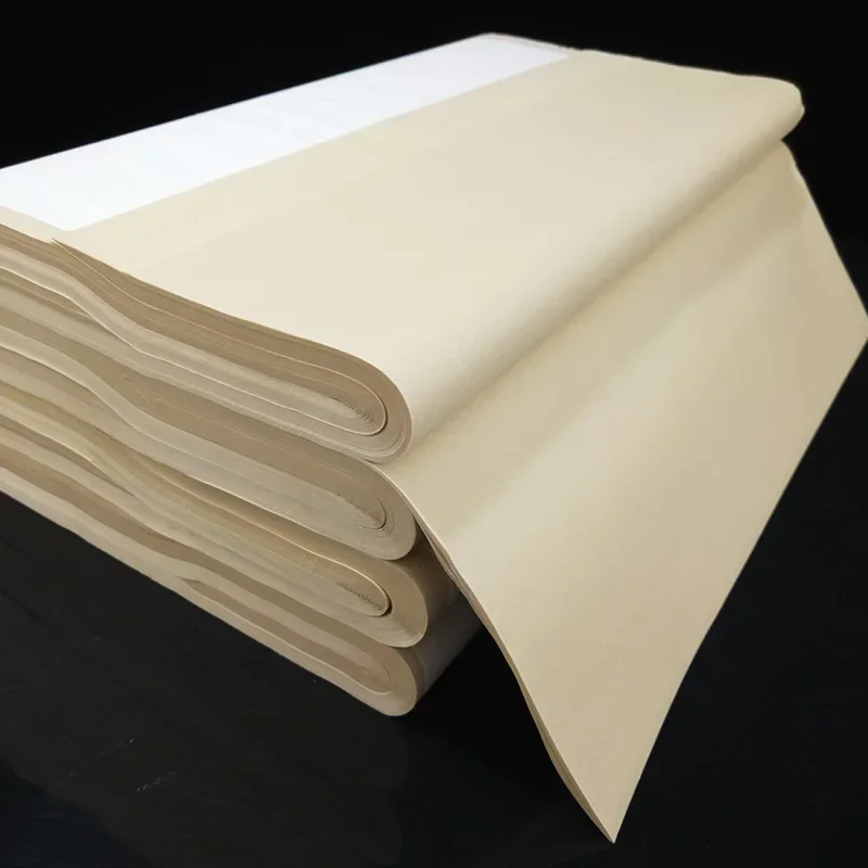 100pcs Chinese Calligraphy Paper Thicken Raw Xuan Paper Chinese Painting Practice Calligraphy Bamboo Ripe Rice Rijstpapie