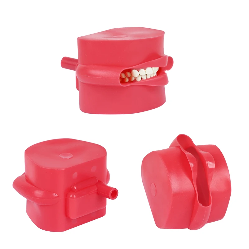 Dental Silicone Mouth Mask Practice Teeth Model Dentist Simulator With Teeth For Dentist Students Training Tools
