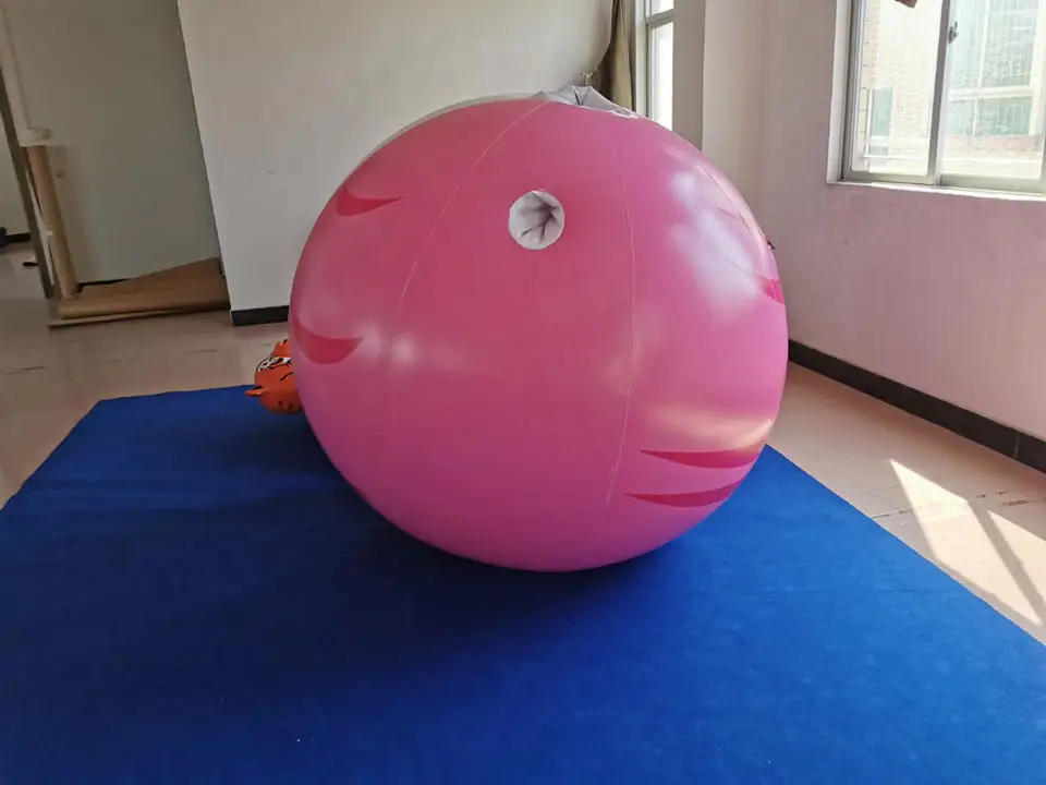 Customized high-quality adult pink inflatable blueberry ball set for sale