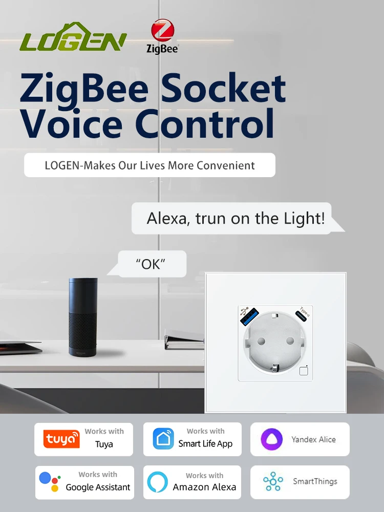 LOGEN Zigbee Wall Socket 220V Type-c USB EU Standard Energy Monitor Wall Sockets Double Smart Meter Sockets App Control Alexa