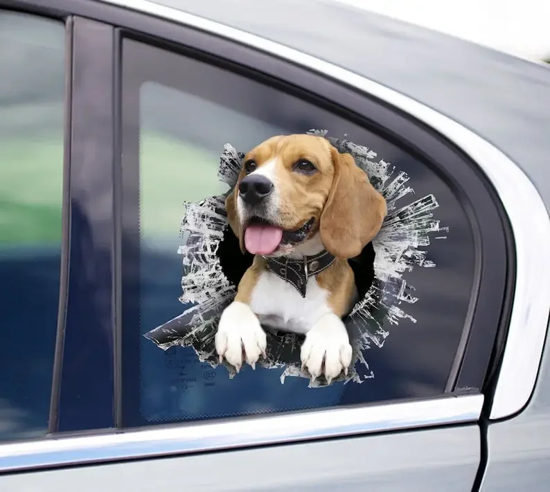 Beagle window sticker, car sticker, Beagle car decal